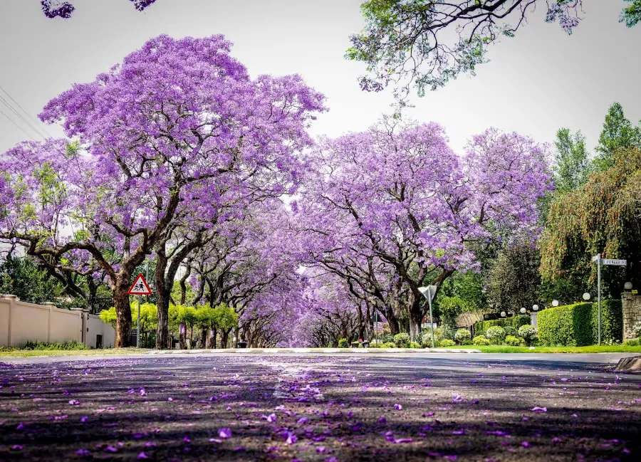 Pretoria Powers ahead as SA’s Fastest-Growing Property Market