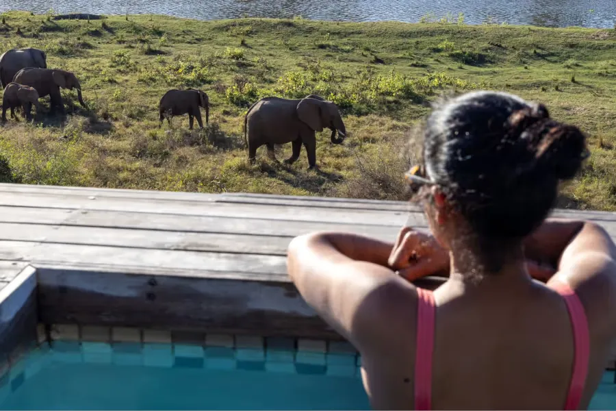Simbini Lifestyle Estate - Own on the Edge of the Kruger