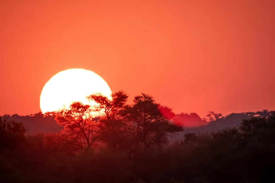 Limpopo’s Great North is SA’s hottest property play