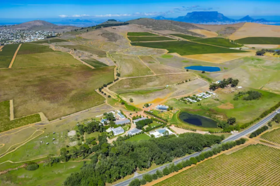 Bloemendal wine estate offered in landmark Winelands tender