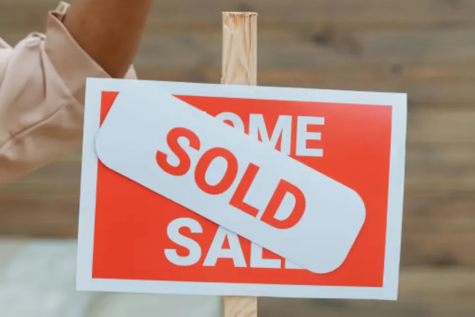 Property market gains momentum despite pressure