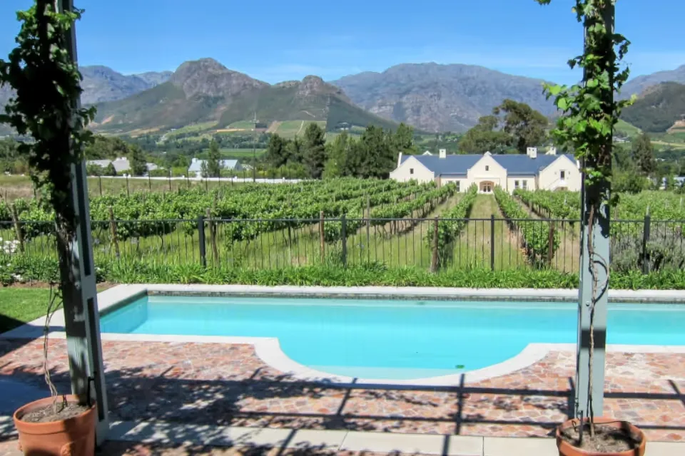 SA property market shows surprising strength